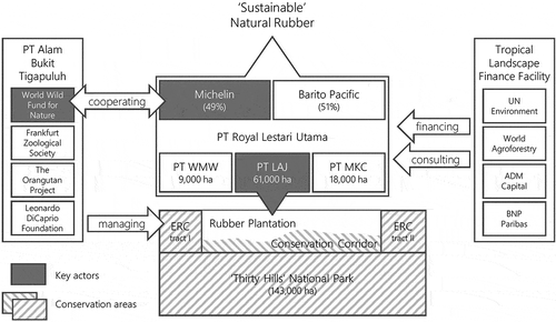 Figure 2. The transnational network of actors.