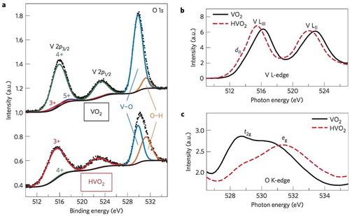 Figure 5. X-ray photoemission and absorption spectroscopy revealing hydrogenation-induced electronic phase transition in VO2 thin film [Citation8]. (a) V 2p and O 1s core-level spectra of pristine VO2 and fully hydrogenated insulating HVO2, confirming the V valence change and the existence of O–H bonding after hydrogenation. (b) and (c) show the V L-edge and O K-edge NEXAFS of pristine VO2 and fully hydrogenated insulating HVO2. The chemical shift of the V L-edge and the suppression of the t2g band peak in O K-edge are clearly observed in fully hydrogenated HVO2 films. Reproduced with permission from Ref. [8] © Springer Nature 2016.