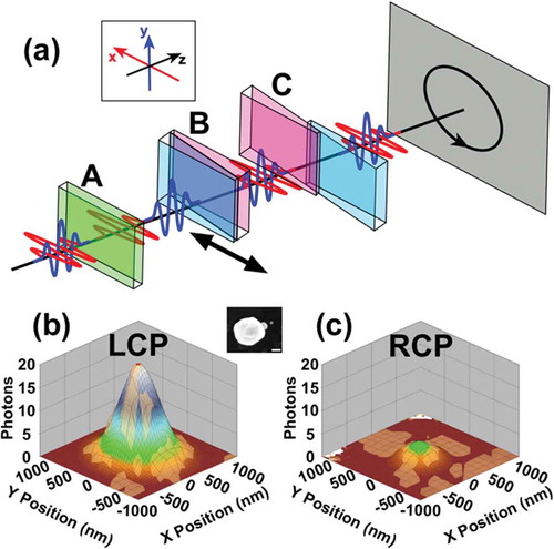 Figure 12. Manipulating the polarization state of the fundamental laser source with a pulse replica generator. (a) Schematic depicting the PRG used for polarization manipulation. The legend in the top left indicates orientation of the x-, y-, and z-planes in the figure. The ‘A,’ ‘B,’ and ‘C’ labels designate the three blocks of birefringent materials. Block B is on a motorized translation stage which traverses the x-direction (indicated by the arrow) and induces time delays between two orthogonally polarized phase-locked pulse replicas. The superposition of the two orthogonally polarized components produces circularly polarized light when the time delay is set appropriately. The colors of the wedges in (b) and (c) in indicate the orientation of the optical axis of the birefringent crystal (green: oriented along x-axis, cyan: oriented along y-axis, magenta: oriented along z-axis). Panels (b) and (c) show the retrieved point spread function, constructed form image contrast, for a nanosphere heterotrimer (depicted as SEM inset, scale bar = 100 nm). A clear difference is observed between excitation with left circularly polarized light (b) versus right circularly polarized light (c), indicative of a circular dichroism response. Quantitative analysis revealed a circular dichroism ratio of 1.61 ± 0.16 for this trimer structure. Adapted with permission from references 9 and 28