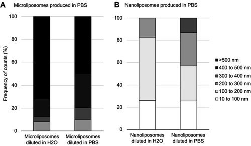 Figure 3 Effects on liposome population size when changing concentration and ionic strength of suspension media. (A) Particle size distribution of microliposomes. (B) Particle size distribution of nanoliposomes. Samples were diluted 100X, resulting in 1 mg/mL concentrations. For both micro- and nanoliposome samples, size decreases when concentration decreases.