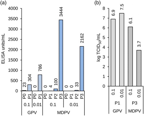 Figure 7. Propagation of goose (GPV) and MDPV in adherent CR.pIX cultures. (a) Yields of parvovirus antigens after infection with MOI of 0.1 or 0.01. (b) Infectious titres of the parvoviruses in CR.pIX cells. GPV replicates to expected titres within the first passage, MDPV replicates to high titres after three passages of apparently healthy cell monolayers. All values shown were obtained from complete cryogenic lysates 3 days post infection.