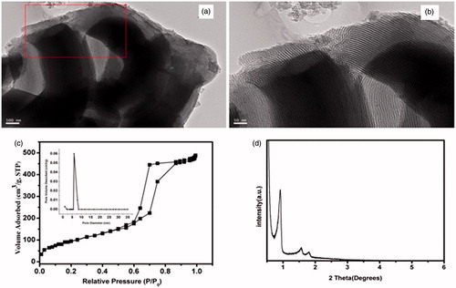 Figure 1. Transmission electron microscope images (a and b), Brunauer-Emmet-Teller analysis (b) and small-angle X-ray diffraction (SAXRD) patterns (c) showing the mesoporous structures of MBG. (b is enlarged view of the boxed area in panel a). STP: standard temperature and pressure