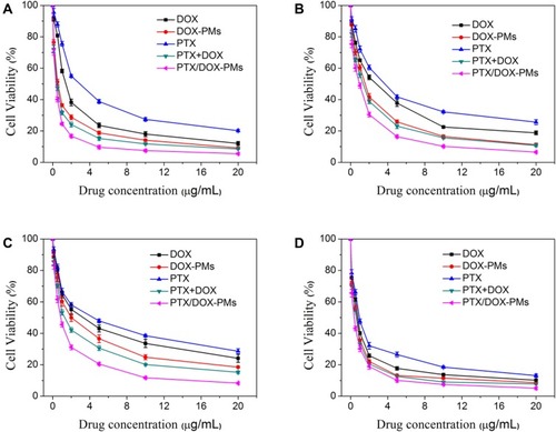 Figure 7 Cell viability of free DOX, free PTX, DOX-PMs and PTX/DOX-PMs after incubating with A549 (A), MDA-MB-231 (B), A2780 (C), and NCL-H460 (D) cells for 48 h (n = 6, mean ± SD).Abbreviations: DOX, doxorubicin; PTX, paclitaxel; PMs, polymeric micelles; DOX-PMs, doxorubicin-loaded polymeric micelles; DOX+PTX, mixture of doxorubicin and paclitaxel; PTX/DOX-PMs, paclitaxel and doxorubicin-loaded polymeric micelles; h, hour.