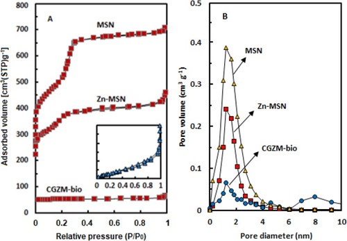 Figure 2 (A) Nitrogen sorption isotherms and (B) pore size distribution for the MSN, Zn-MSN NPs, and CGZM-bio samples.