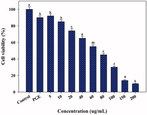 Figure 10. Anticancer activity of various concentrations of synthesized PGE-AgNPs against the liver cancer cell line- HepG2 (within each tested dose, different letters above each column indicate significant differences).