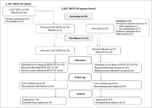 Figure 1. Study flow chart.