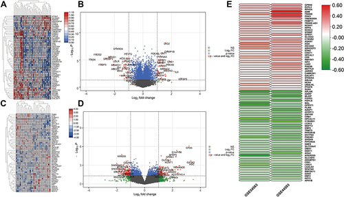 Figure 5 The DEGs identified from GSE182195 (A and B), and GSE44593 (C and D). (E) The upregulated and downregulated DEGs of the three datasets determined by “RRA”.