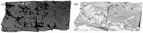 Figure 2. Ruqin lake ((a) Point cloud data and (b) Triangulated irregular network).