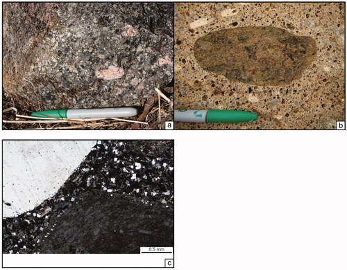Figure 13. Soldiers Quarry Member. (a) Rapikivi textured K-feldspar (pink core, rimmed by white feldspar) in crystal-rich coherent rhyolite. The pen is 14 cm long. Site ERIVKFB0186b. (b) Rounded biotite-rich (±chlorite) clast/inclusion. The pen cap is 4 cm long. Site ERIVKFB0213c. (c) Overgrowth on K-feldspar crystal and granoblastic texture in groundmass is likely due to contact metamorphism. Thin-section T090088.
