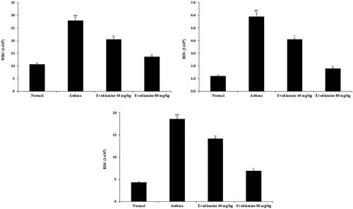 Figure 4. Effects of evodiamine on the infiltration of inflammatory cells in the BALF of asthmatic rats. Values are means ± SD (n = 8); @@p < 0.01 compared to the normal group; **p < 0.01 compared to the asthma group.