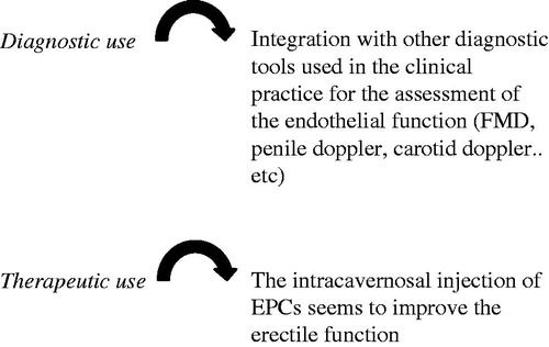 Figure 1. Endothelial progenitor cells and erectile dysfunction clinical applications.