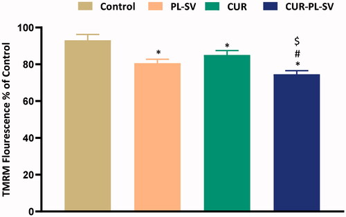 Figure 9. Change in mitochondrial membrane permeability. Data are the mean of four independent experiments ± SD. *Significantly different vs. control, p<.05; #significantly different vs. PL-VS, p<.05; $significantly different vs. CUR. CUR: curcumin; PL: Phospholipon® 90H; SV: scorpion venom peptide.