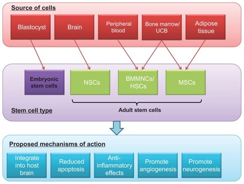 Figure 1 Stem cell types used in stroke trials, and the proposed mechanisms of action.