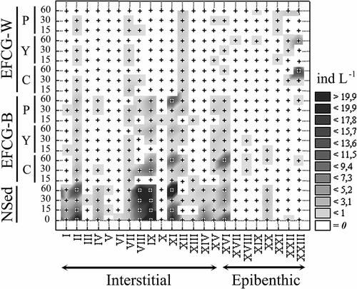 Figure 2. Trivariate diagram of the syllid densities (N1−1; shaded areas) with respect to the substratum (NSed, natural sediment; EFCG, artificial substratum), medium of module location (B, bottom; W, water), time of sampling (days) and level of organic treatment (see Methods section for details). Symbol ‘+’ indicates true value; contour areas are obtained by interpolation between two adjacent points of x-variables (species coded as Roman numbers in the Table I).