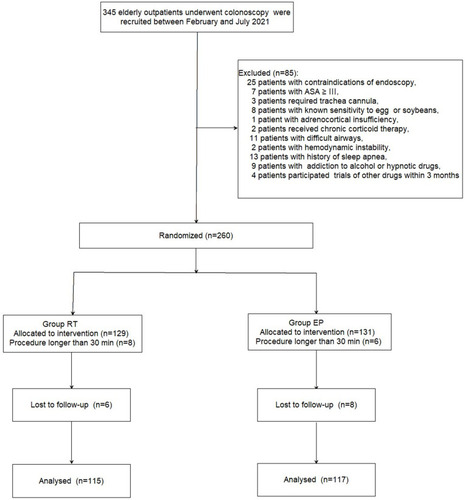 Figure 1 Patient flowchart with CONSORT guidelines.