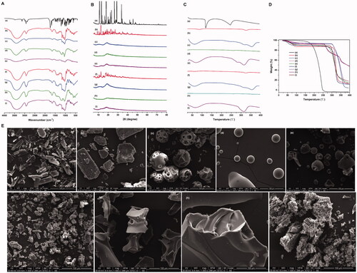 Figure 3. Characterization of CD-Frax complexes in the solid-state. Fourier-transform infrared spectra (FTIR) (A), powder X-ray diffraction pattern (P-XRD) (B), differential scanning calorimetry analysis (DSC) (C), thermal gravimetric analysis (TGA) (D) and field emission scanning electron microscopy analysis (FSEM) (E) of fraxinellone (Frax) (a), β-cyclodextrin (CD) (b), HP-β-CD (c), SBE-β-CD (d), G2-β-CD (e), and the inclusion complexes β-CD-Frax (f), HP-β-CD-Frax (g), SBE-β-CD-Frax (h), and G2-β-CD-Frax (i).