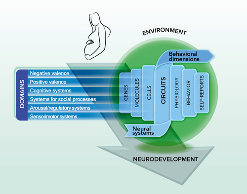 Figure 1. Diagram of the RDoC Framework, illustrating the four major factors of Neurodevelopment, Environment, Domains, and Units of Analysis (ranging from Genes to Self-Reports).