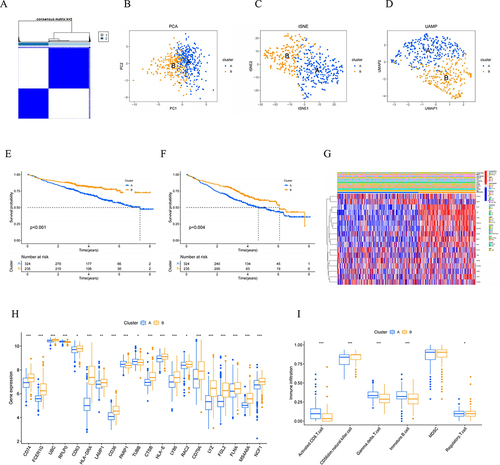 Figure 4 Identification of prognostic NK cell-related genes and consensus clustering. (A) Two NK subtypes of MM were recognized with prognostic NK cell-related genes using consensus clustering. (B) PCA, (C) tSNE and (D) UMAP plot showing the NK subtypes of MM. The survival curve of the patients in the two subgroups for (E) OS and (F) EFS. (G) Heatmap of distribution of clinicopathological variables and NK cell-related genes between different cluster groups. (H) The boxplot illustrating the difference in NK related-cell genes between two clusters. (I) The boxplot visualizing the distribution differences of immune cells between the two clusters.