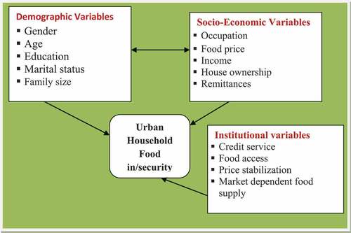 Figure 1. A schematic diagram showing the relationship between predictor variables and household food in/security.