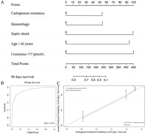 Figure 3 (A) Nomogram for predicting the mortality risk in patients with AP and KP infection. (B) ROC curve for the predictive model; (C) Validity of the predictive performance of the nomogram in estimating the probabilities of 90 days survival.