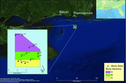 FIGURE 1 Location of Artificial Reef Site Fish Haven 13 in the northern Gulf of Mexico (November 2009). Depth ranges were 20–24 m for section A, 24–26 m for section B, and 26–27 m for section C. See Methods for definition of the reef patterns (clump, OL100, OL200, and OL300).