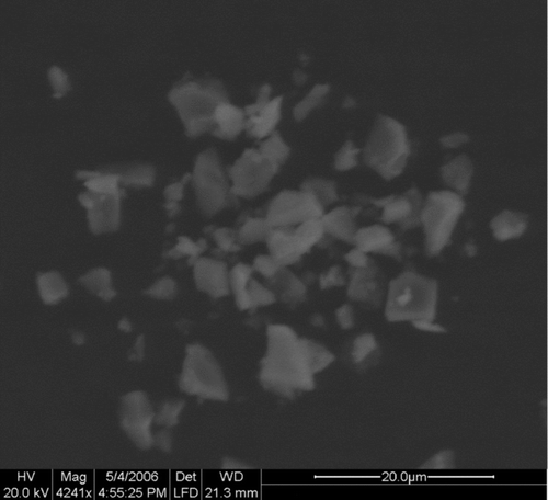 FIG. 5 Surface alumina particles under SEM.