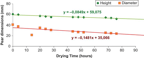 FIGURE 4 Variation of pear dimensions with drying time (color figure available online).