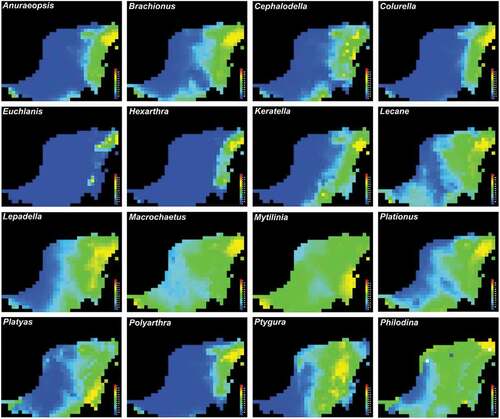 Figure 2. Global logistic distribution models for rotifers (by genus) in the Yucatán peninsula with bioclimatic variables. A color scale from red to blue is used; red indicates high distribution probability, while blue indicates there is no presence of the specimen