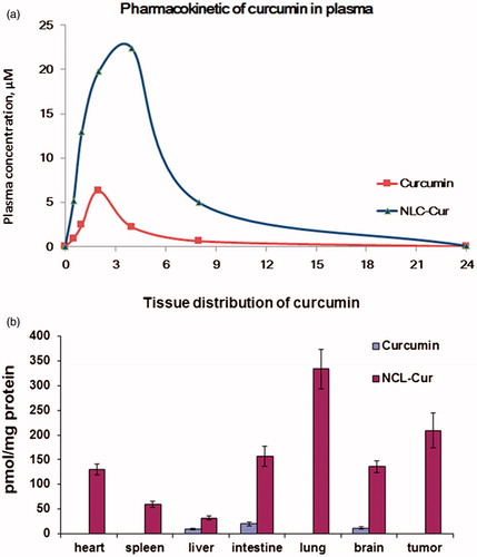 Figure 7. Pharmacokinetic analysis of Cur/NLC-Cur. (a) Pharmacokinetic curve of Cur/NLC-Cur in Balb/c mice. (b) Bio-distribution of Cur/NLC-Cur in Balb/c nude mice.