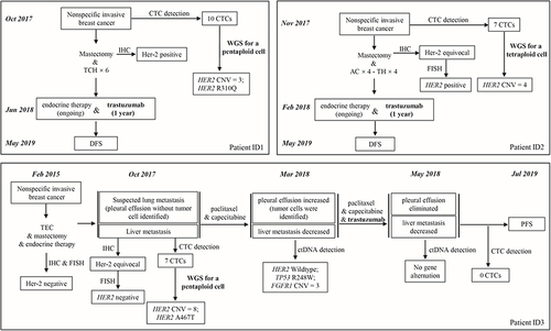 Figure 3 Clinical timelines of the 3 patients with breast cancer. The HER2 targeted drug trastuzumab were highlighted in bold type. DFS, disease-free survival; PFS, progression-free survival.