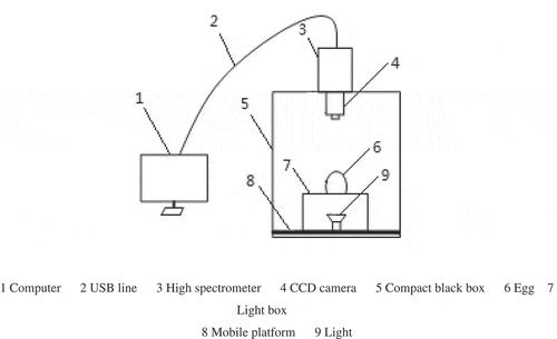 Figure 1. Schematic diagram of transmission spectrum image acquisition device, 1: Computer, 2: USB line, 3: High spectrometer, 4: CCD camera, 5: Compact black box, 6: Egg, 7: Light box, 8: Mobile platform, and 9: Light