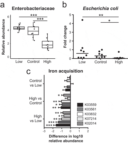 Figure 3. Dietary iron restriction promotes a bloom of Enterobacteriaceae and predicted bacterial iron uptake systems. (a) Relative fecal abundance of Enterobacteriaceae. (b) Abundance of fecal E. coli 16S sequences relative to total bacteria 16S sequences as determined by quantitative PCR. Data are presented as the fold change relative to the low iron diet group. Each point represents an individual mouse, n = 8-9 mice per group.  Lines are at the medians and p values were determined by pairwise comparisons by the Kruskal–Wallis test. (c) Differences in the least square mean between diet groups of log10 normalized counts of predicted genes involved in iron acquisition as determined by PICRUSt. (a) Box and whisker plots show the minimum, first quartile, median, third quartile, and maximum relative abundance. (a, c) FDR-corrected p-values were determined using a mixed linear model. * p< 0.05, ** p < 0.01, *** p < 0.001.