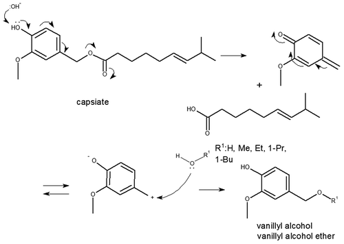Figure 14. Production of vanillyl alcohol or vanillyl alcohol ethers between capsinoids (an illustrated example is a capsiate) and water (or some alcohols). The process of capsinoids reaction is as follows: first, the polarization between the alpha-methylene of the benzyl moiety and the neighboring oxygen atom in capsinoid is increased by the presence of protic and/or polar compounds (water or some alcohols); then, the polarized portion is easily cleaved by means of heterolytic cleavage to give a benzyl cation and a carboxylate anion; finally, the compound attacks the benzyl cation as a nucleophilic reagent, and vanillyl alcohol or vanillyl alcohol ethers are formed.