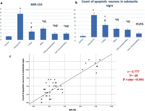 Figure 6. (a, b & c): (a) statistical analysis of miR-155, (b) count of apoptotic cells in substantia nigra, and (c) correlation study that showed a positive correlation between miR-155 and number of apoptotic cells. Data are represented as the mean of experiments ± S.D. All values are statistically significant at p < 0.05.