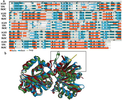 Figure 4. Structure analysis of TPS, 1GZ5 and 5K5C.