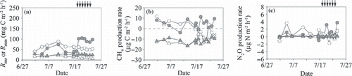 Figure 12 (a,b) Microbial respiration rate in mineral soil and (c,d) CH4 and (e,f) N2O production rates in mineral soil plotted against soil temperature at a depth of 10 cm (a,c,e) and moisture at the 0–10 cm depth (b,d,f). Open and closed circles indicate data from non-irrigated and irrigated plots before irrigation and open and closed triangles indicate data from non-irrigated and irrigated plots during irrigation. ***P < 0.001. The coefficient values written in italics were calculated using Spearman’s correlation analysis.