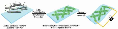 Figure 10. Schematic diagram of fabrication process of the hierarchically PANI/FMWCNT nanocomposites. Reprinted with permission from [Citation88]. Copyright 2015 John Wiley and Sons