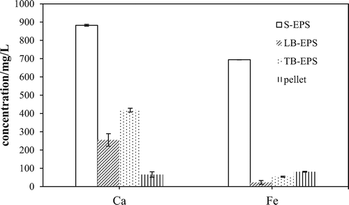 Figure 9. Distribution of calcium and iron in pretreated WAS.