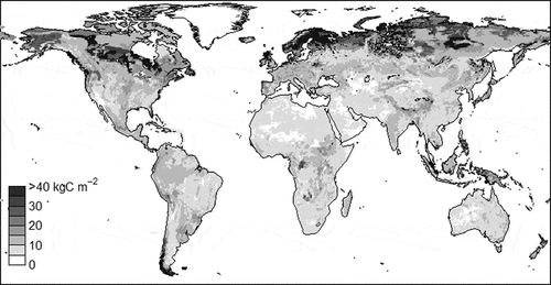 Figure 4 The estimated global distribution (in terms of density) of organic carbon (C) in the soil. One of the reasons for the high values at higher latitudes is the lower decomposition rate in a cold environment. Another reason is a lower decomposition rate due to oxygen deficiencies in peatlands, which are frequently distributed in wetlands at high latitudes.