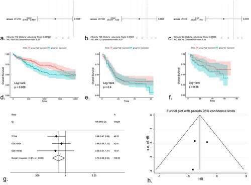 Figure 4. The prognostic value of miR-125b-2-3p in HCC, the COX regression, K-M plots and SMD were performed. (a-c) COX regression analysis of miR-125b-2-3p in TCGA, GSE10694 and GSE116182. (d-f) K-M plots were performed for TCGA, GSE10694 and GSE116182 respectively. (g) The forest plot was drawn based on the HR. The experimental group was high-expressed miR-125b-2-3p group and the high-expressed miR-125b-2-3p was indicated a great prognosis in HCC. (h) the funnel plot of HR