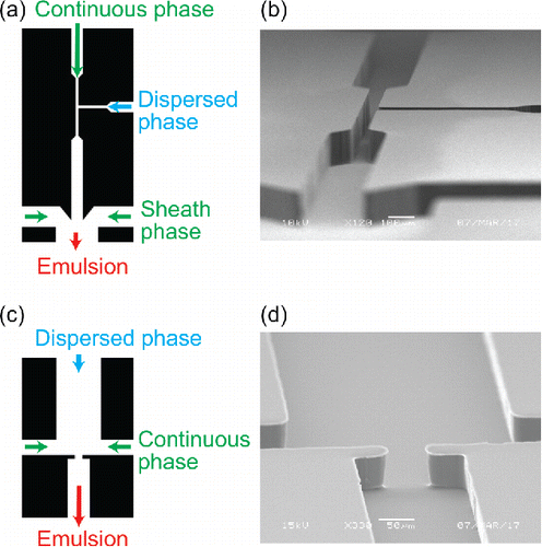 Figure 1. Microfluidic channel masks (left) and SEM images of the corresponding PDMS channels (right) of a T-junction (top) and co-flow with flow focusing (bottom) geometries. In the mask images (left), arrows denoting continuous, dispersed, sheath, and emulsion flows show direction of flow and approximate relative velocities (proportional to arrow length) of the flow in each channel.