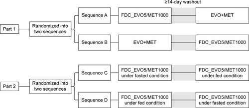 Figure 1 Schematic diagram of study design and dosing schedule.