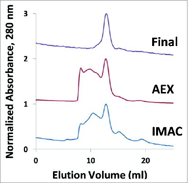 Figure 6. Analytical Fast Pressure Liquid Chromatography-SEC of the IMAC eluent, the anion exchange (AEX) eluent, and the final purified Na-APR-1 (M74) protein.