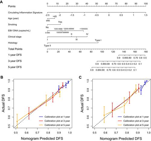 Figure 5 Circulating inflammation signature (CISIG)-based nomogram (A) for estimating the 1-, 3- and 5-year disease-free survival rates in nasopharyngeal carcinoma patients. The calibration curve at 1-, 3-, and 5-year timepoints for the CISIG-based nomogram in the training cohort (B) and validation cohort (C).