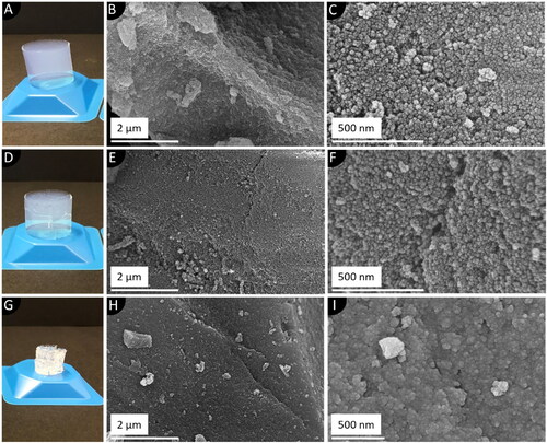 Figure 2. Dried monolithic SA with different degrees of process-related structural defects: Photographs and SEM images of an intact (A-C), cracked (D-F) and collapsed (G-I) SA. The collapse of the latter was induced by drying the alcogel under ambient atmosphere.