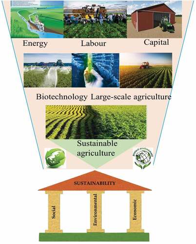 Figure 5. Farmland potential in sustainable agriculture