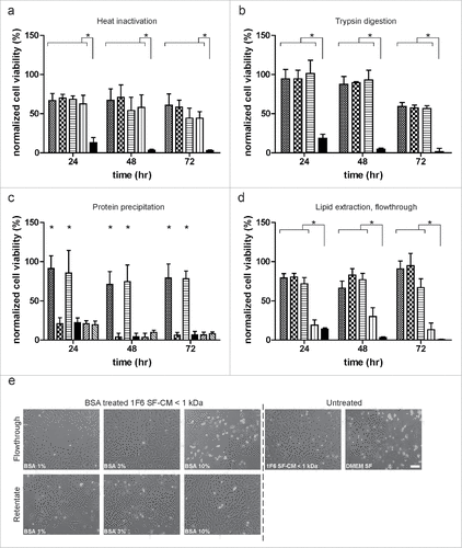 Figure 5. Characterization of the melanoma-specific survival effect. (a) Effect of heat treatment on endothelial cell (EC) survival. Size fractionated< 1 kDa fraction of serum-free melanoma conditioned medium (SF-CM) was heat inactivated at 56°C, 80°C and 100°C, respectively, for 30 min. Untreated (Display full size), heat-inactivated (56°C: Display full size; 80°C: Display full size; 100 °C: Display full size) media and basal medium (Display full size) were added to near confluent EC cultures and long-term survival under hypoxia was monitored. (b) Effect of enzymatic digestion on EC survival. Size fractionated < 1 kDa fraction of melanoma SF-CM was treated with 100 and 200 µg/mL of trypsin for 30 min at 37 °C. Untreated (Display full size), trypsin treated samples (100 µg/mL: Display full size; 200 µg/mL: Display full size) and basal medium (Display full size) were added to near confluent EC cultures and monitored for long-term survival under hypoxia. (c) Effect of protein precipitation on EC survival. Size fractionated < 1 kDa fractions of melanoma SF-CM and basal medium were subjected to protein precipitation using acetone. Reconstituted protein and non-protein fractions were added to subconfluent EC cultures and survival under hypoxia was monitored (< 1 kDa SF-CM untreated: Display full size; < 1 kDa SF-CM protein fraction: Display full size; < 1 kDa SF-CM non-protein fraction: Display full size; basal medium: Display full size; basal medium protein fraction: Display full size; basal medium non-protein fraction: Display full size). (d,e) Effect of lipid extraction on EC survival. Size fractionated < 1 kDa SF-CM fractions of melanoma SF-CM were treated with 1%, 3%, or 10% fatty-acid free BSA. BSA-poor (flowthrough) fractions were obtained as described under ‘Materials and Methods’. (d) Untreated (Display full size), BSA treated flowthroughs (1%: Display full size; 3%: Display full size; 10%: Display full size; ) and basal medium (Display full size) were added to subconfluent ECs to monitor cell survival under hypoxia. (e) Morphology of ECs under various treatments at 48 h hypoxia. Scale bar, 100 µm. Normalized cell viability (%) in (a–d) is expressed relative to survival of basal medium (serum-free DMEM) treated ECs at 24 h normoxia and represent mean ± SEM of four independent experiments, conducted in triplicate. *p < 0.05.