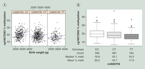 Figure 2.  Association between percentage methylation at cg16672562 and birth weight, stratified by rs3826795 genotype. (A) Scatter plots of birth weight (horizontal axis) against % methylation at cg16672562 (vertical axis), each panel displays data for each genotype. (B) Box plot of rs3826795 genotype (horizontal axis) against % methylation at cg16672562 (vertical axis). Number of individual data points, median and mean % methylation of each bin is displayed in the table below the horizontal axis.