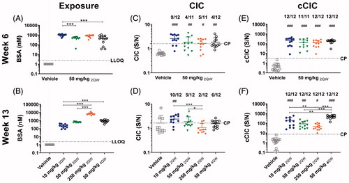 Figure 5. Exposure, and CIC and cCIC formation in mice in BSA dose regimen study. C57BL/6J mice were dosed with vehicle or 50 mg/kg BSA SC twice weekly (2QW) for 6 weeks. Thereafter, dose levels were changed to 10, 50 (unchanged), 250 mg/kg 2QW, or the dosing frequency was changed to 50 mg/kg four times weekly (4QW) for another 7 weeks. At Weeks 6 and 13, (A-B) exposure, (C-D) circulating immune complexes (CIC), and (E-F) complement-bound CIC (cCIC) concentrations in plasma were measured. Data were expressed as means ± SD. A Student’s unpaired t-test/t-test with Welch’s correction or Mann-Whitney, 1-way ANOVA/Bon-ferroni or Kruskal Wallis/Dunns, #p < 0.05, ##p < 0.01, ###p < 0.001 compared to vehicle. *p < 0.05, **p < 0.01, ***p < 0.001 compared to indicated mouse group. Number above graph: Number of mice in dose group above cut-point (CP). LLOQ: Lower limit of quantification, S/N: Signal to noise.