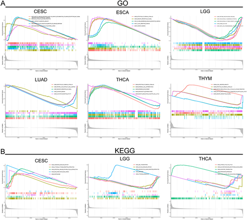 Figure 9 GSEA analysis of APOE gene in different groups. (A) GO functional terms of APOE. (B) KEGG pathway analysis of APOE.